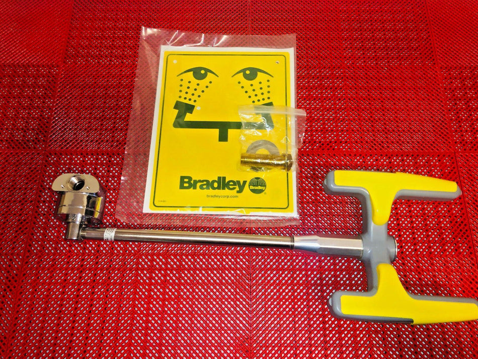 Bradley S19274JWB Wall Mounted Barrier Free Swing Down Halo Eye Face Wash