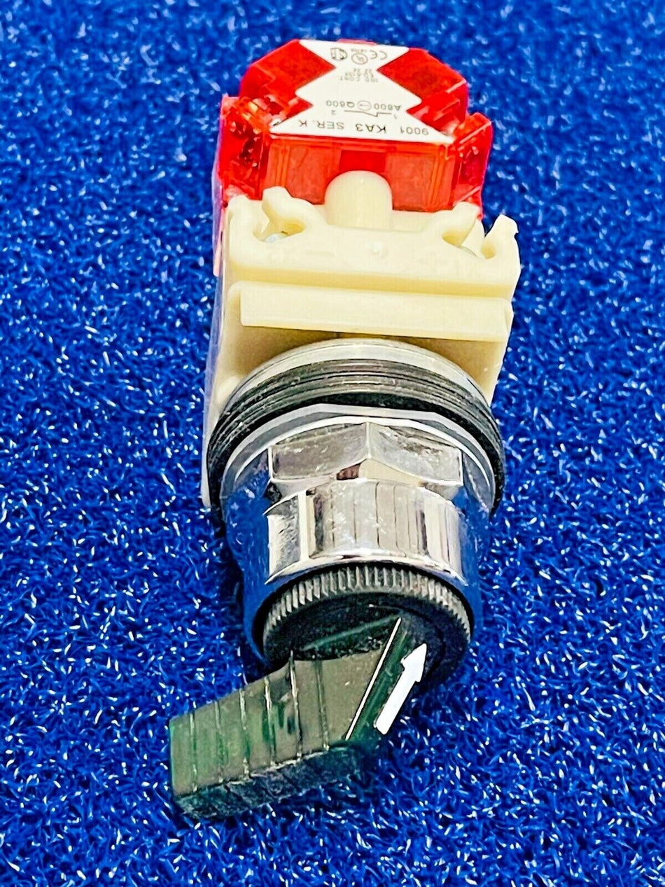 Schneider Electric 9001K12J1FGH14 Illuminated Selector Switch, 30MM, 110-120V